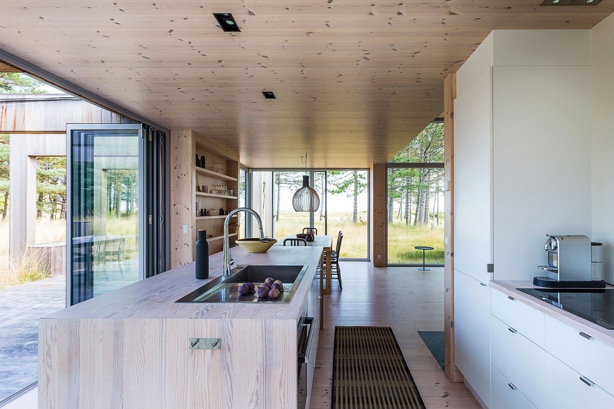 wood house grandes ventanales danish architecture casa minimalista casa de madera moderna casa de cedro casa danesa arquitectura danesa aislamiento madera y cristal 