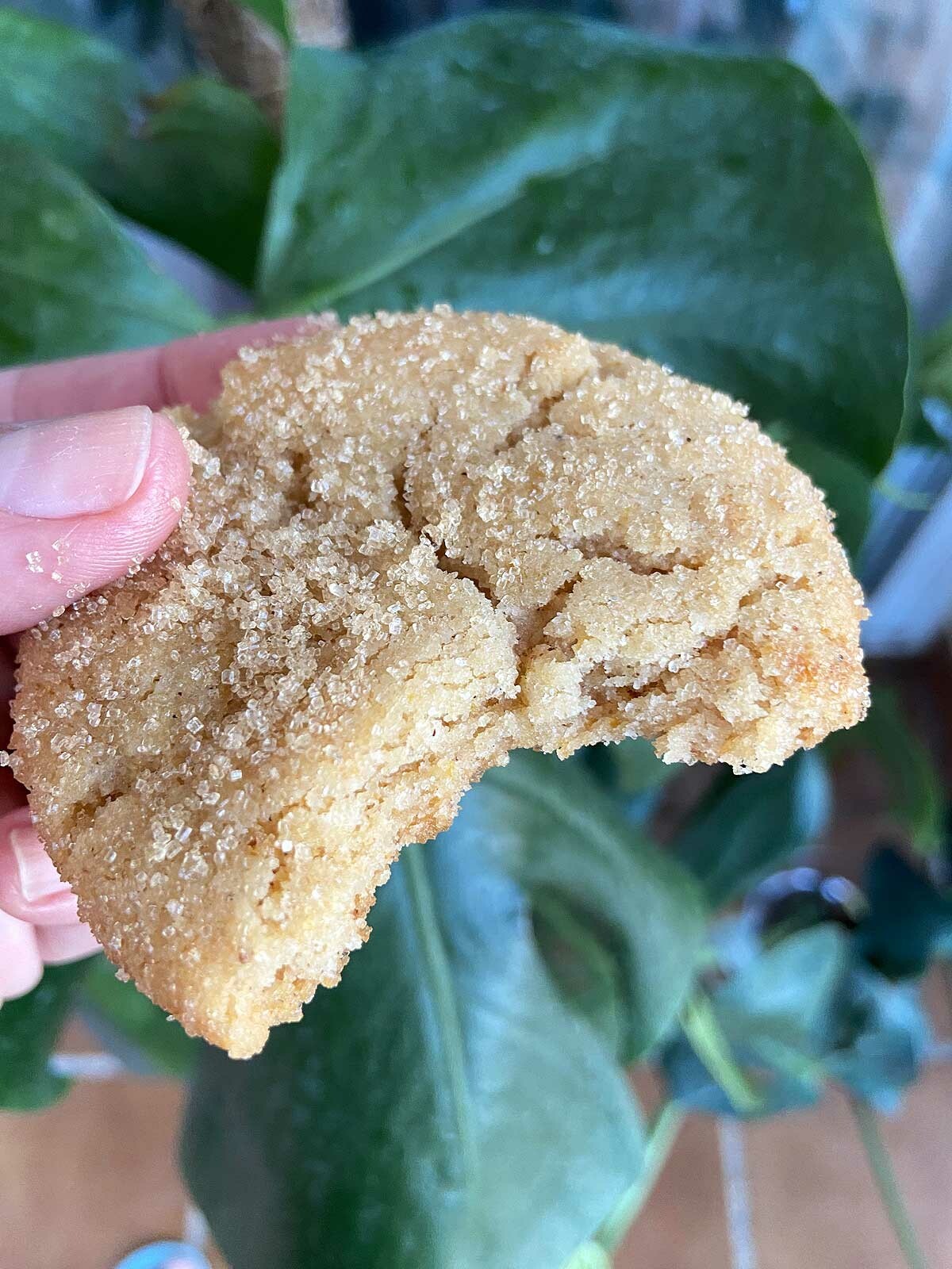 recetas delikatissen postres delikatissen postres calabaza mantequilla tostada halloween cookies galletas de mantequilla y calabaza galletas caseras dulces halloween Brown butter pumpkin sugar cookies 