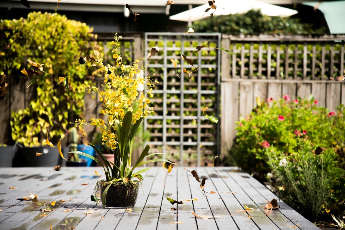 piedras blancas jardin jardines verticales jardines inteligente jardines eficientes jardines herramientas jardín gravilla espacio exterior diseño de jardines decoración plantas decoración jardines 